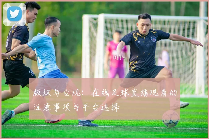 版权与合规：在线足球直播观看的注意事项与平台选择