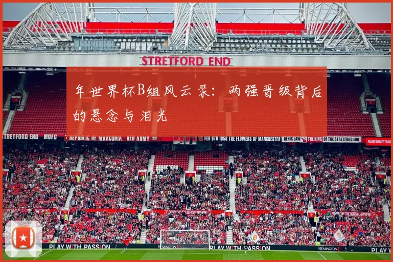 年世界杯B组风云录：两强晋级背后的悬念与泪光