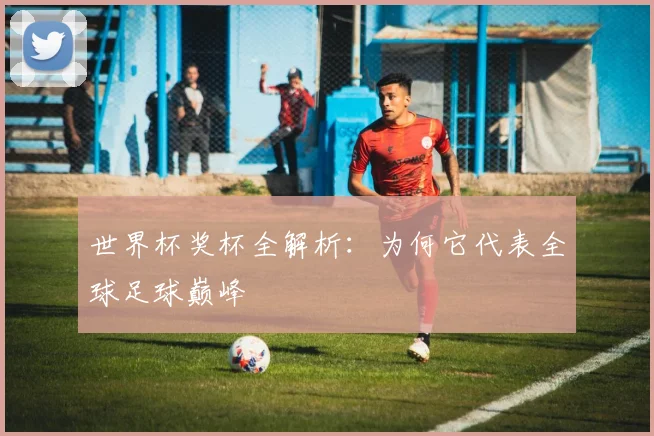 世界杯奖杯全解析：为何它代表全球足球巅峰