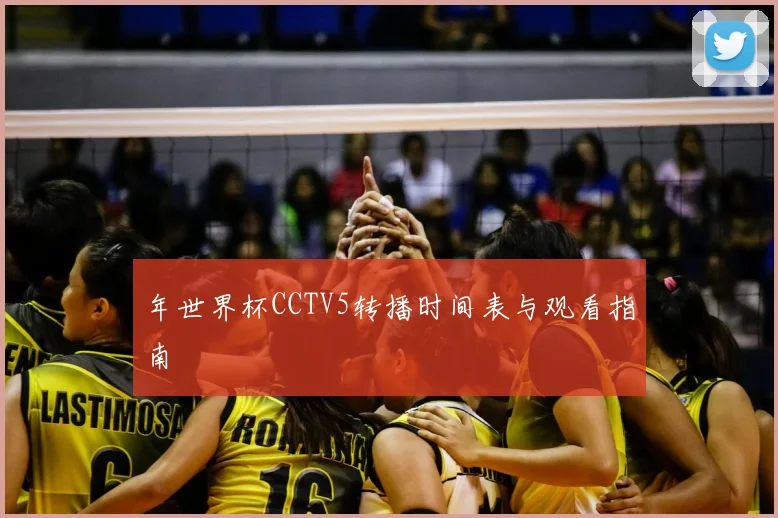 年世界杯CCTV5转播时间表与观看指南