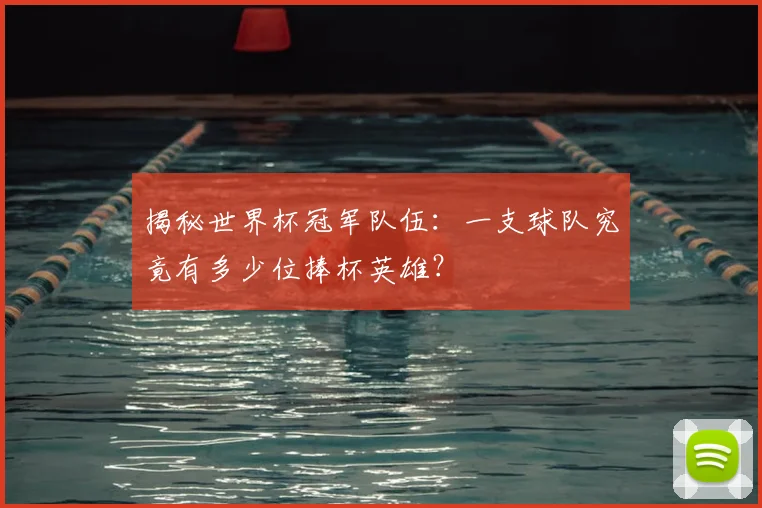 揭秘世界杯冠军队伍:一支球队究竟有多少位捧杯英雄?
