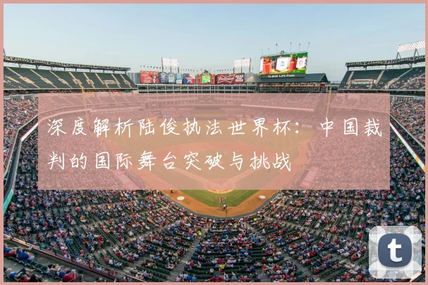 深度解析陆俊执法世界杯：中国裁判的国际舞台突破与挑战