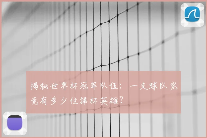 揭秘世界杯冠军队伍:一支球队究竟有多少位捧杯英雄?