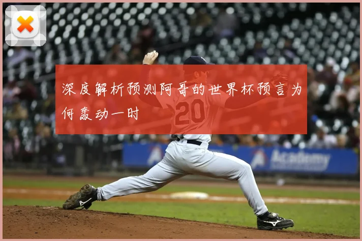 深度解析预测阿哥的世界杯预言为何轰动一时