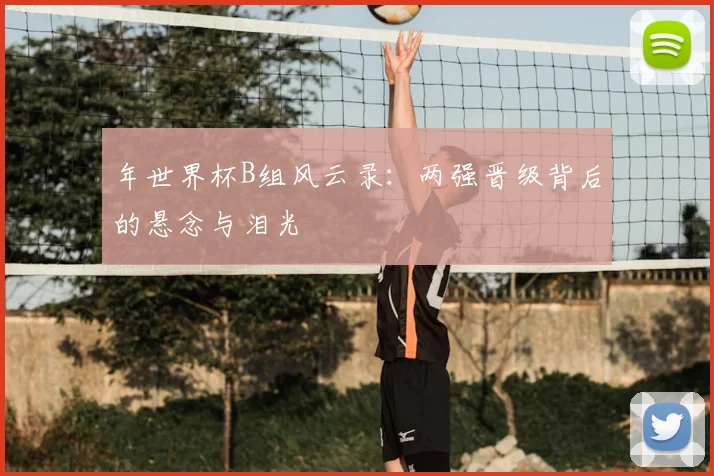 年世界杯B组风云录：两强晋级背后的悬念与泪光